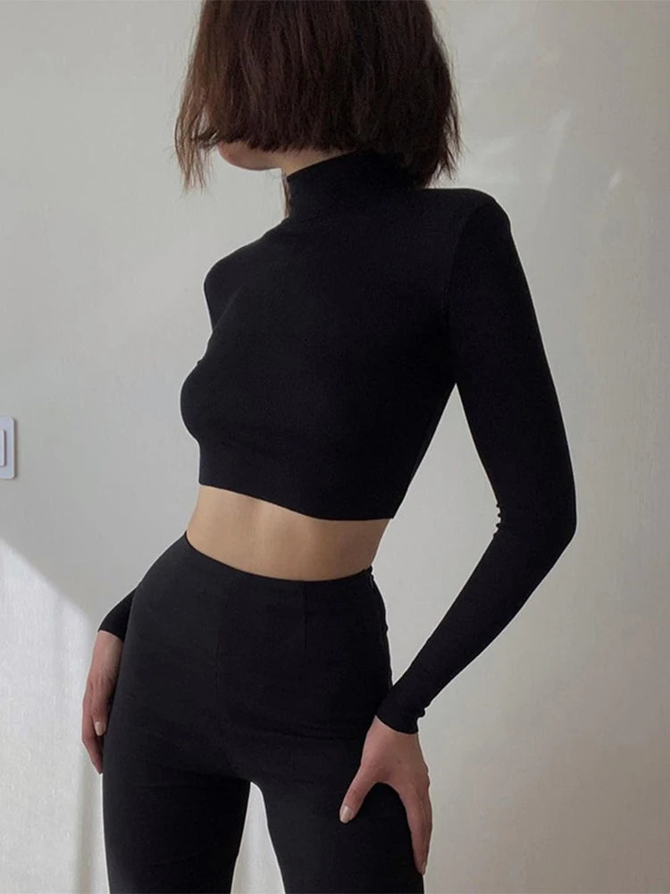 Korean Style Nude Turtleneck Cropped Top - Long Sleeve Fitted T-Shirt