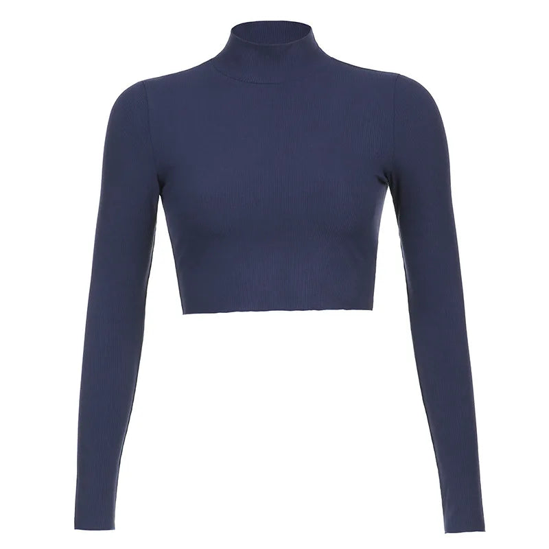 Korean Style Nude Turtleneck Cropped Top - Long Sleeve Fitted T-Shirt