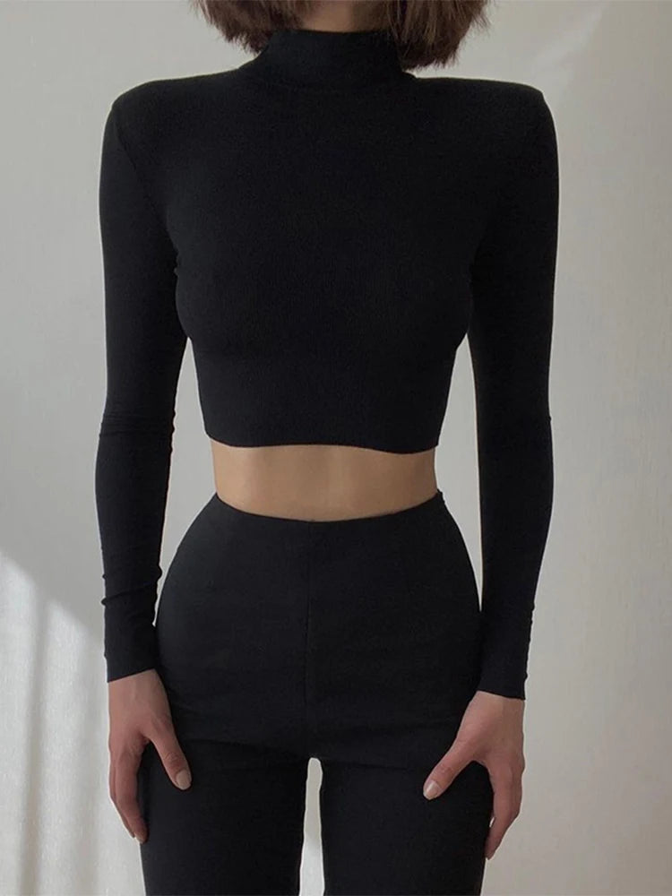 Korean Style Nude Turtleneck Cropped Top - Long Sleeve Fitted T-Shirt