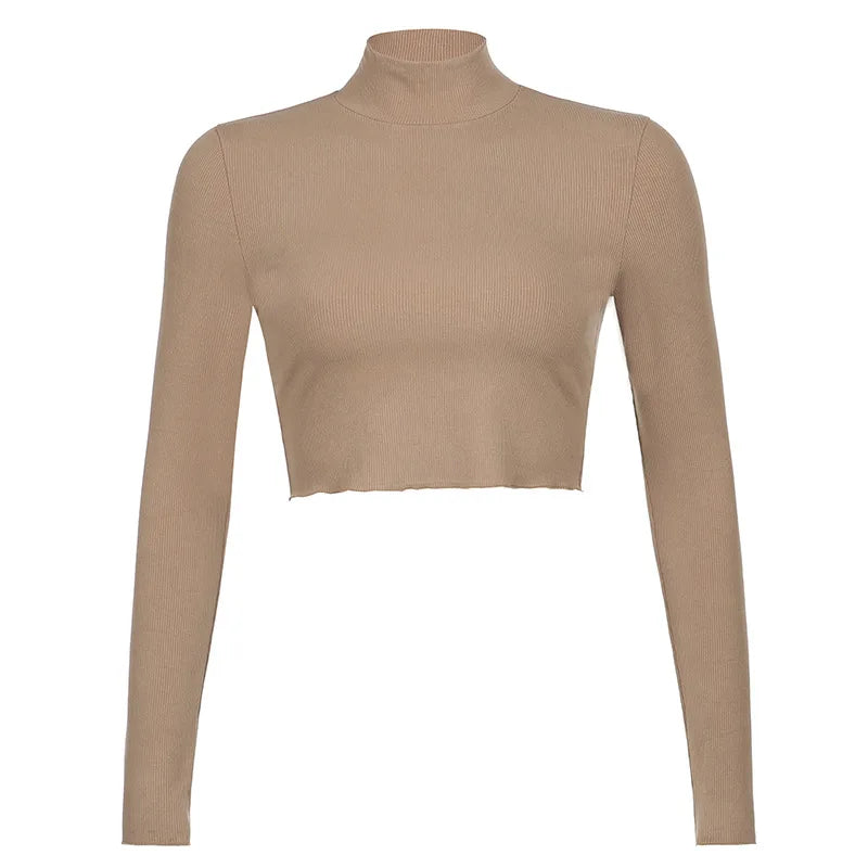 Korean Style Nude Turtleneck Cropped Top - Long Sleeve Fitted T-Shirt