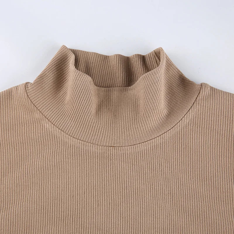 Korean Style Nude Turtleneck Cropped Top - Long Sleeve Fitted T-Shirt
