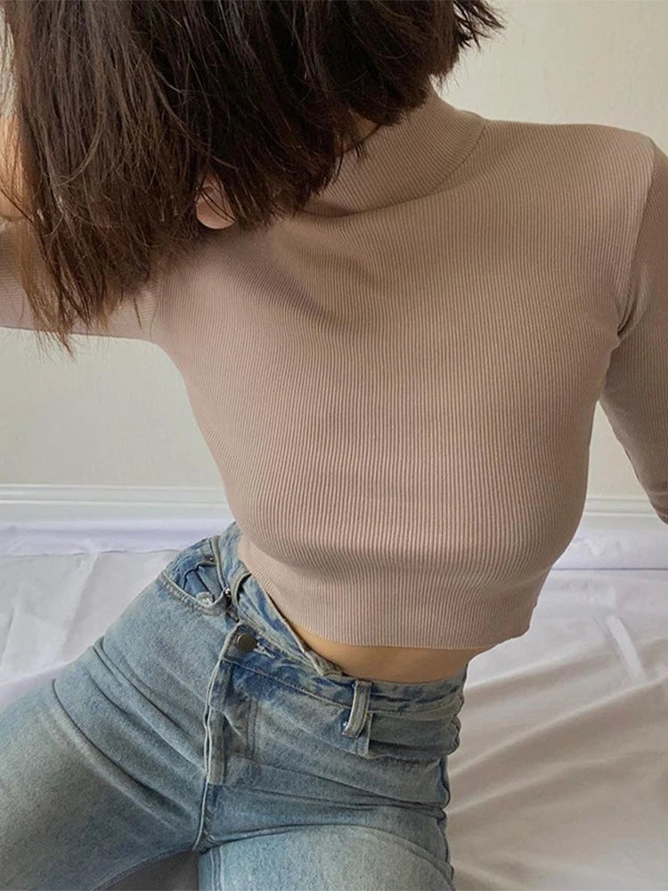 Korean Style Nude Turtleneck Cropped Top - Long Sleeve Fitted T-Shirt