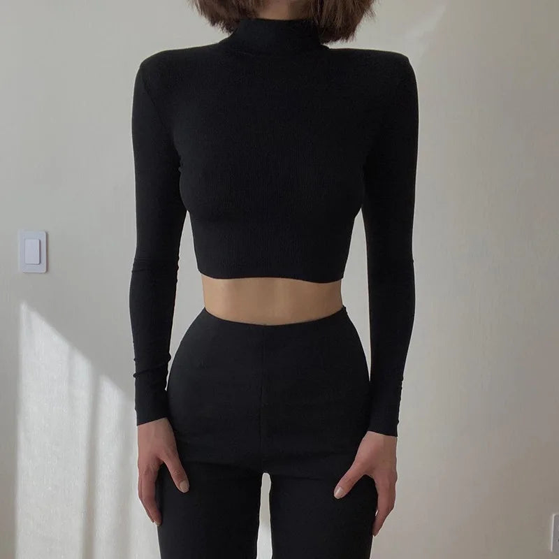 Korean Style Nude Turtleneck Cropped Top - Long Sleeve Fitted T-Shirt